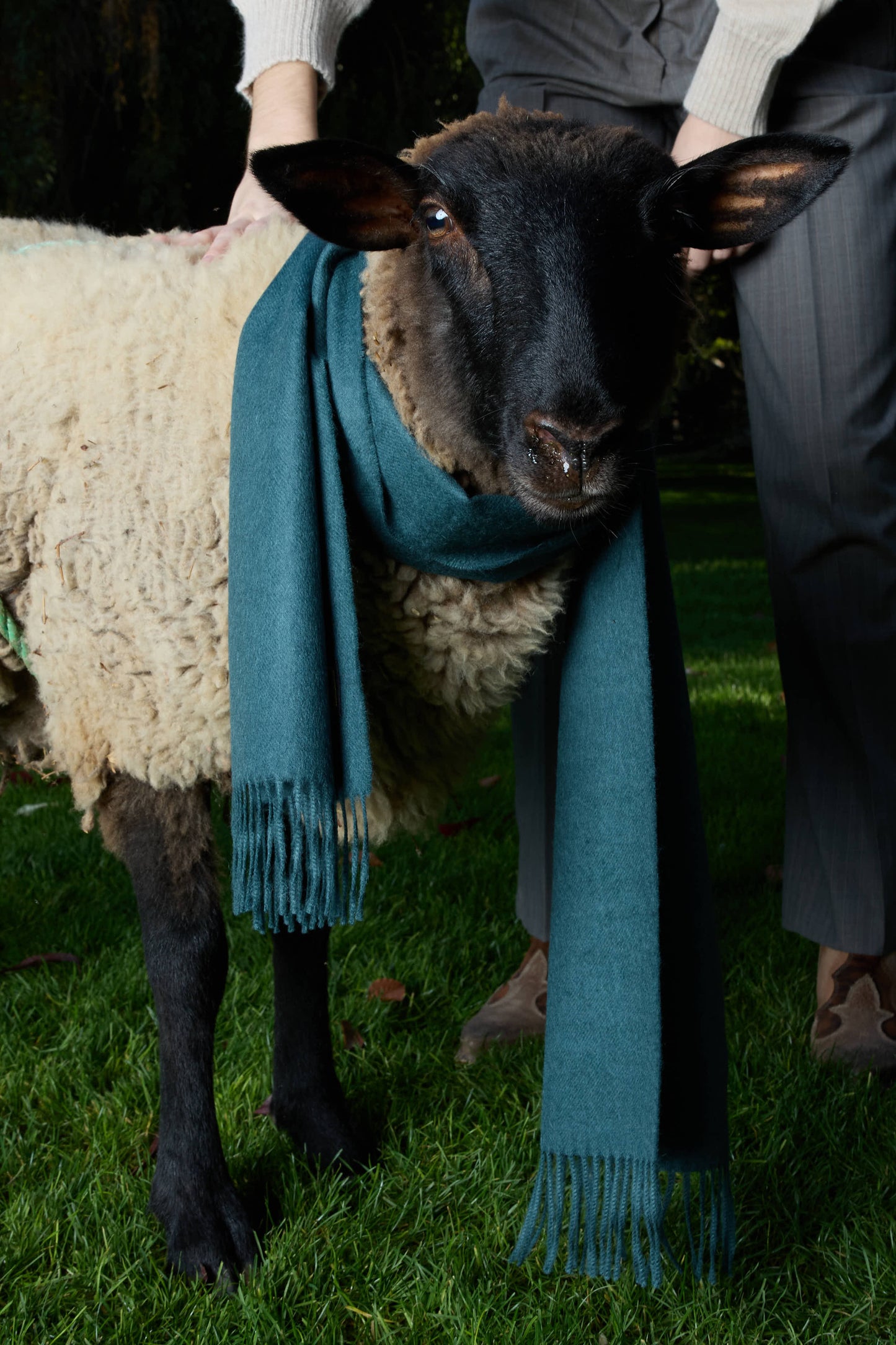 FORÊT SCARF