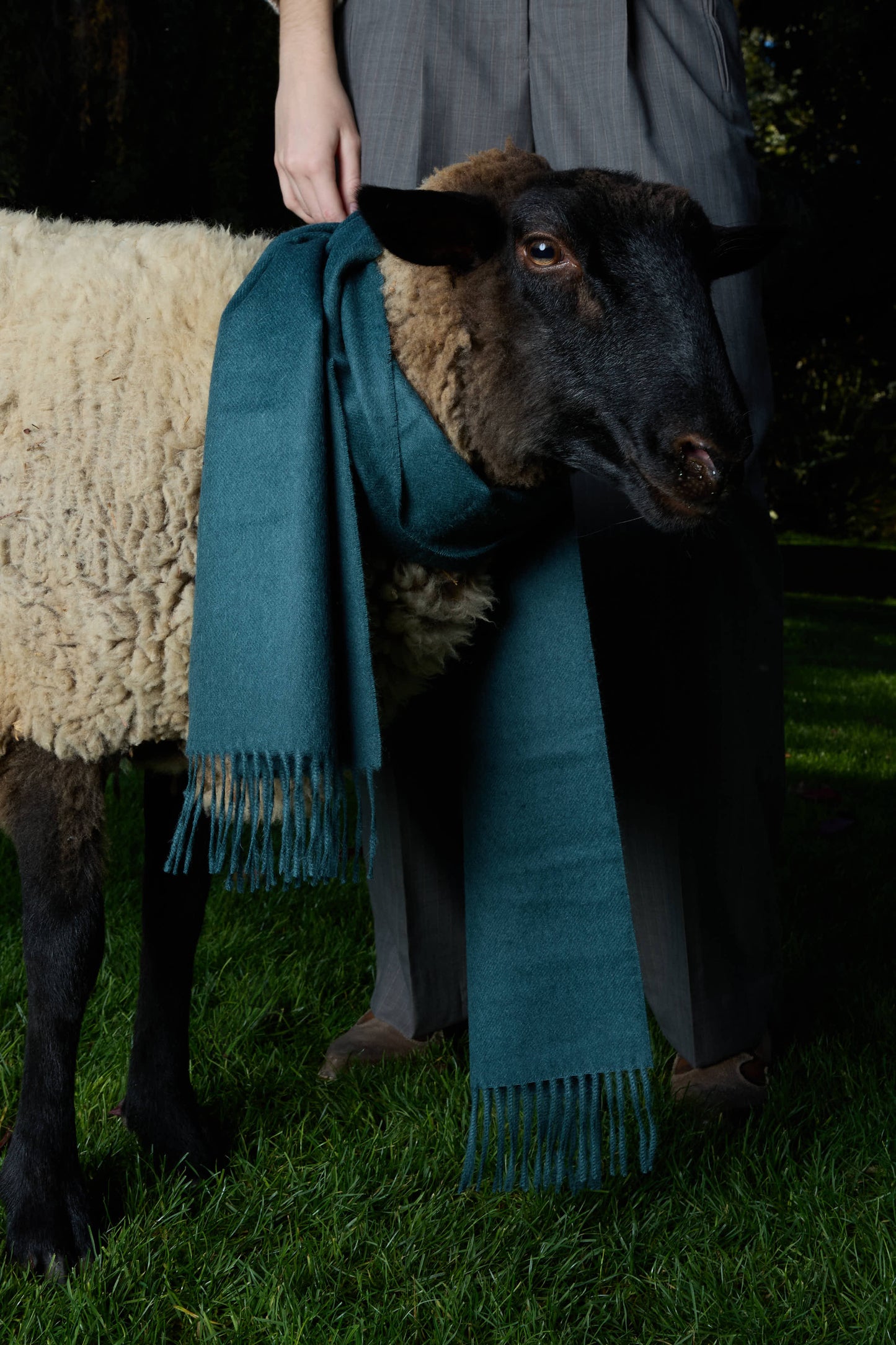 FORÊT SCARF